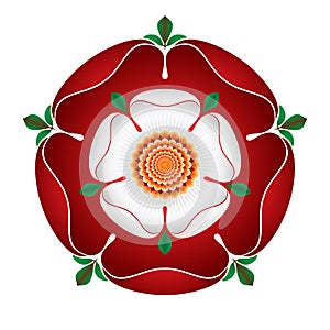Dynastia ruže tieňované ilustrácie angličtina 